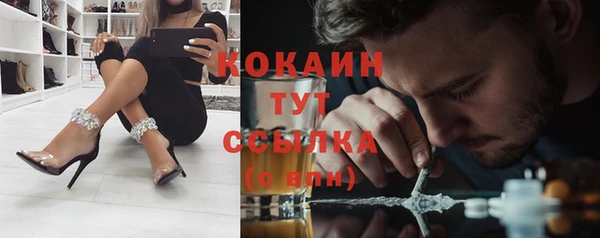 твердый Абаза