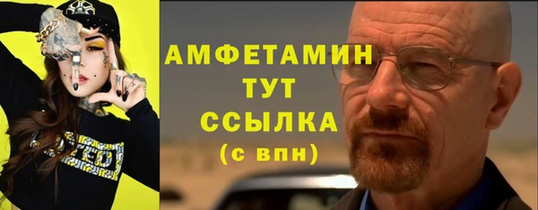 твердый Абаза