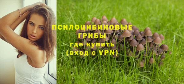 твердый Абаза