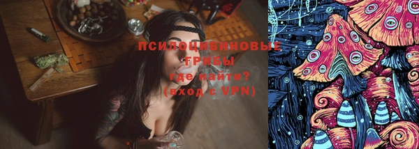 твердый Абаза