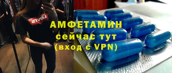 твердый Абаза
